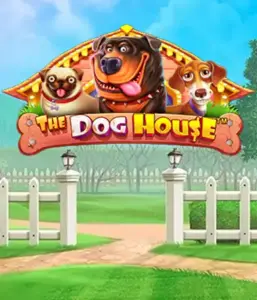 Опыт Pragmatic Play в The Dog House, приносящий вам веселое переживание среди любимых собак. Наслаждайтесь игровых элементах включая бесплатные вращения, идеальных для доставления развлекательного геймплея. Идеально подходит для тех, кто любит легкую тематику с шансом на крупные выигрыши.