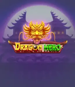 Присоединитесь к мифическое приключение с Dragon Hero Slot от Pragmatic Play, демонстрирующей яркую графику древних драконов и героических битв. Исследуйте царство, где фантазия встречается с волнением, с представляющими сокровищ, мистических существ и зачарованных оружий для очаровательного слот-опыта.